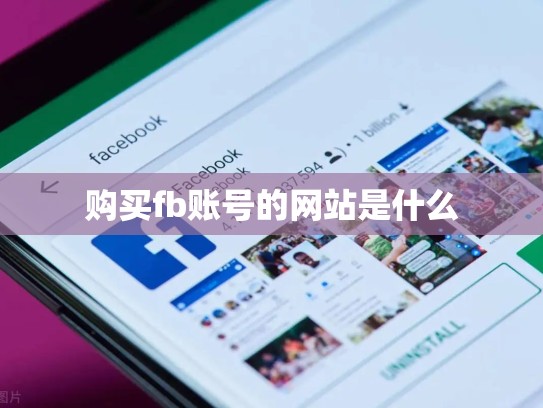 购买fb账号的网站是什么