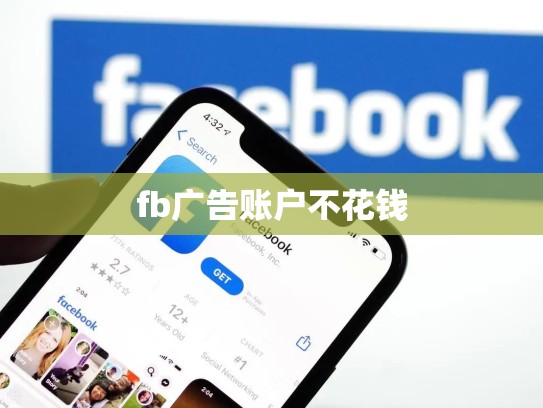 fb广告账户不花钱