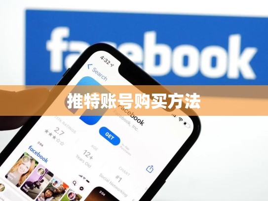 推特账号购买方法
