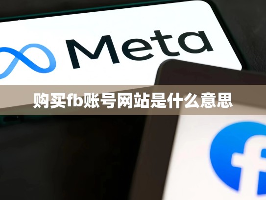 购买fb账号网站是什么意思
