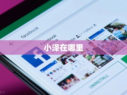 小泽在哪里