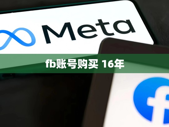 fb账号购买 16年