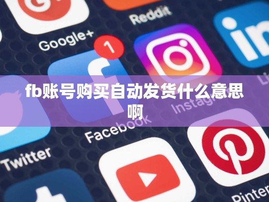 fb账号购买自动发货什么意思啊