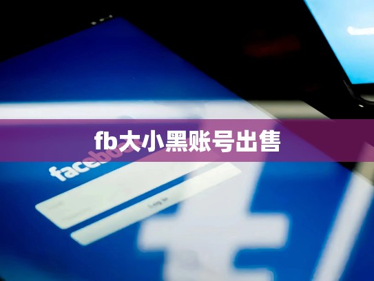 fb大小黑账号出售