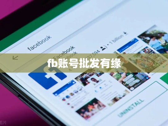 fb账号批发有缘