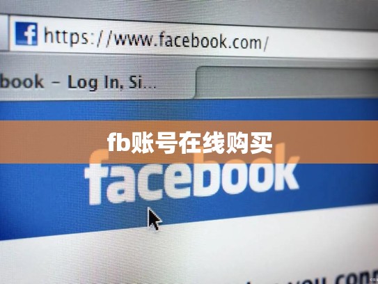 fb账号在线购买