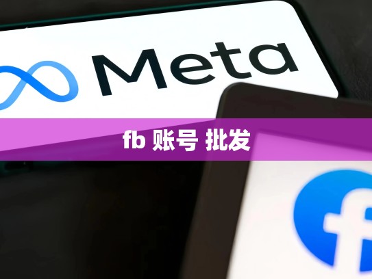 fb 账号 批发