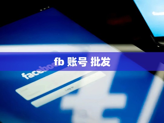 fb 账号 批发