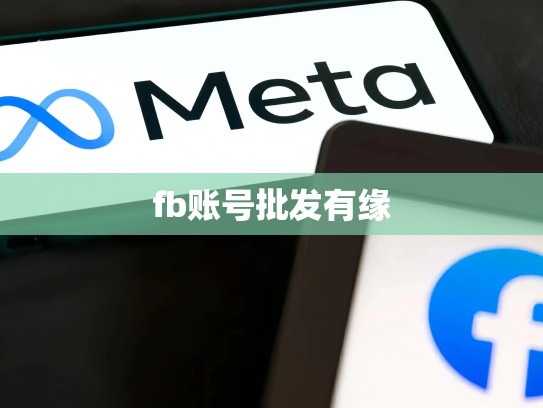 fb账号批发有缘