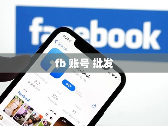 fb 账号 批发