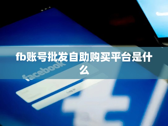 fb账号批发自助购买平台是什么