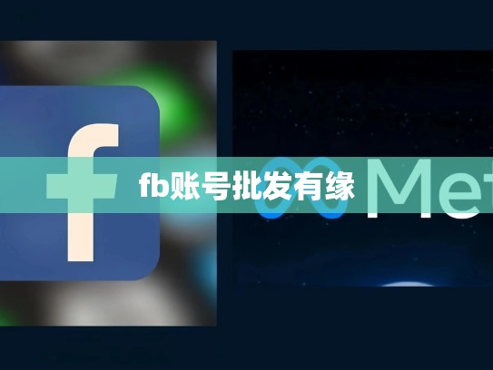 fb账号批发有缘
