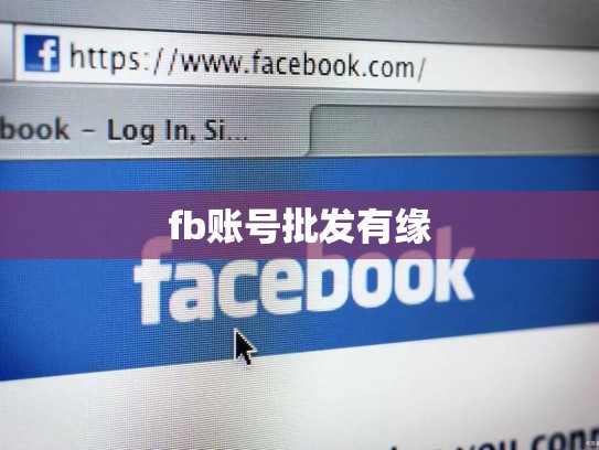 fb账号批发有缘