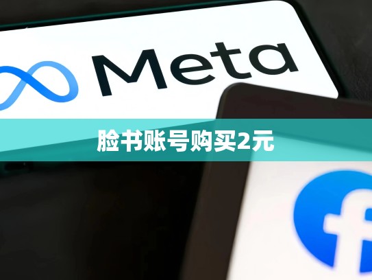 脸书账号购买2元