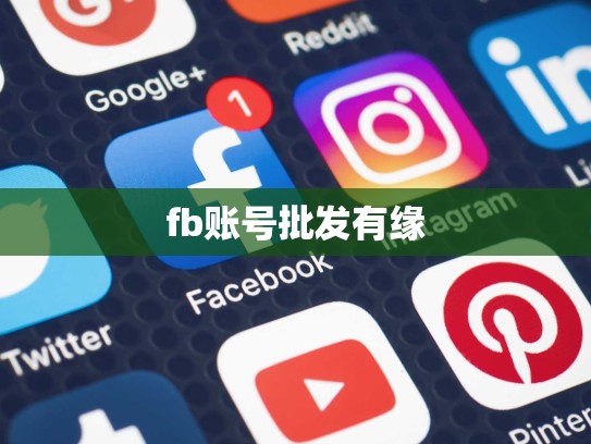 fb账号批发有缘