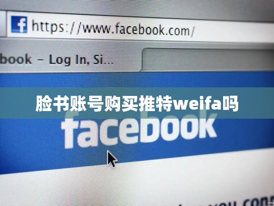 脸书账号购买推特weifa吗