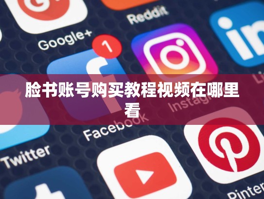 脸书账号购买教程视频在哪里看