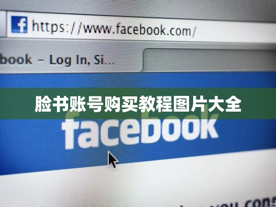 脸书账号购买教程图片大全