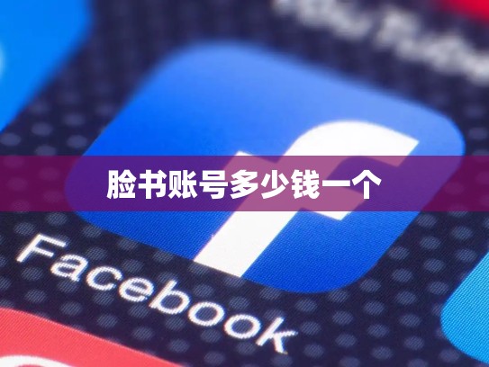 脸书账号多少钱一个