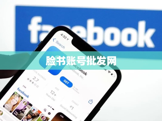 脸书账号批发网