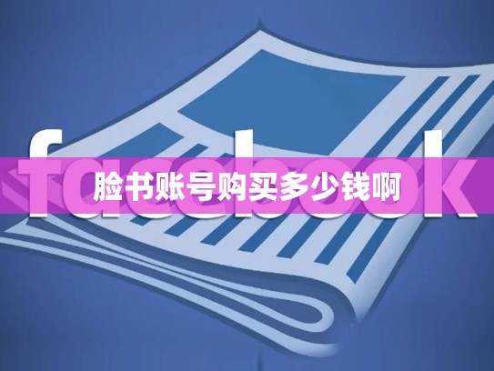 脸书账号购买多少钱啊
