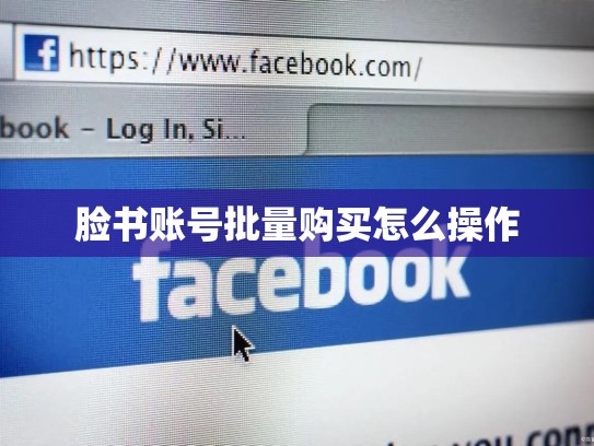 脸书账号批量购买怎么操作