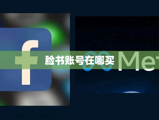 脸书账号在哪买