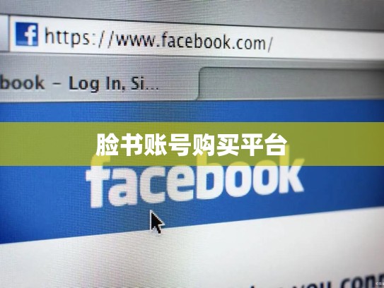 脸书账号购买平台