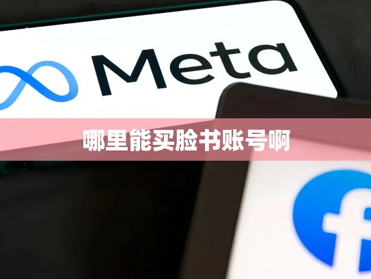 哪里能买脸书账号啊