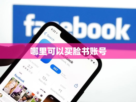 哪里可以买脸书账号