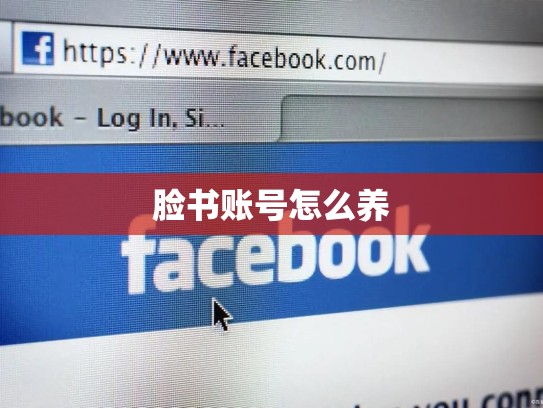 脸书账号怎么养