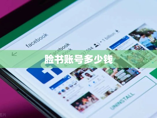 脸书账号多少钱