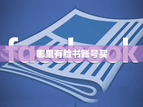 哪里有脸书账号买