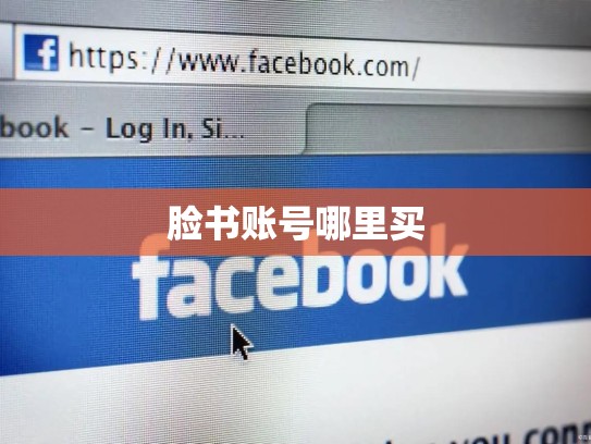 脸书账号哪里买