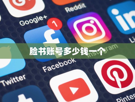 脸书账号多少钱一个