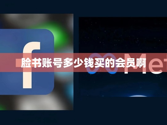脸书账号多少钱买的会员啊