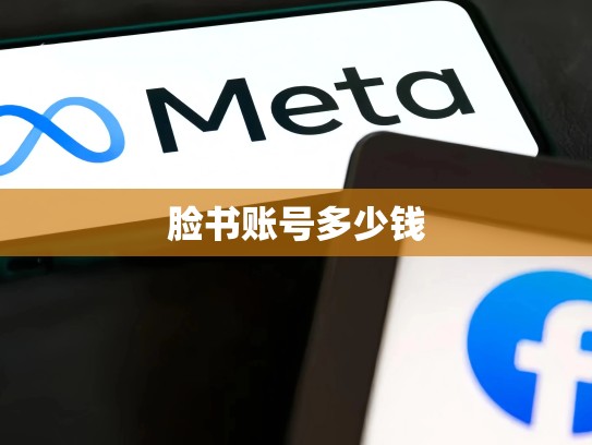 脸书账号多少钱