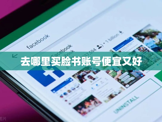 去哪里买脸书账号便宜又好