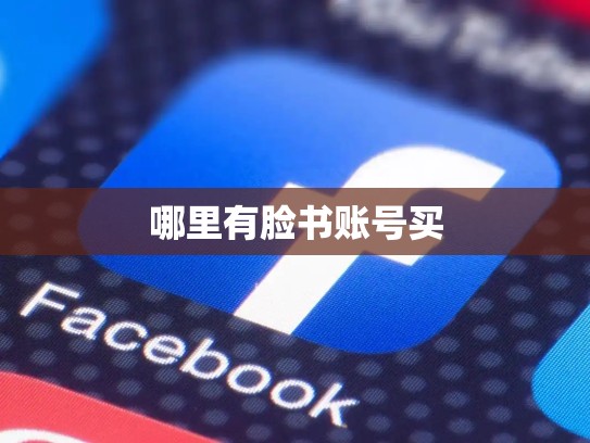 哪里有脸书账号买