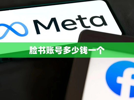 脸书账号多少钱一个