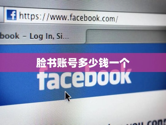 脸书账号多少钱一个