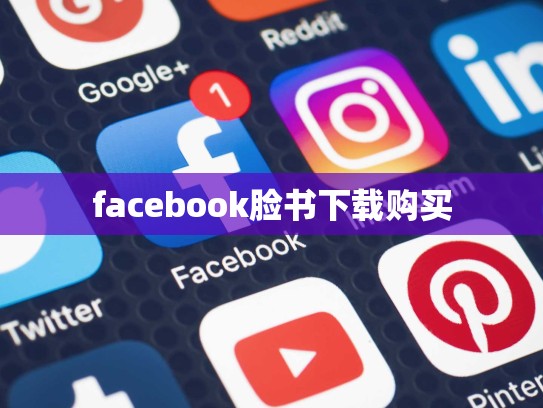 法国apple 账号，法国ios账号