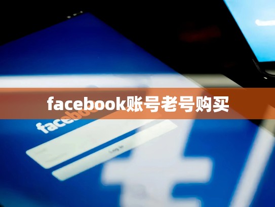facebook账号老号购买