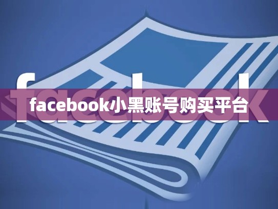facebook小黑账号购买平台