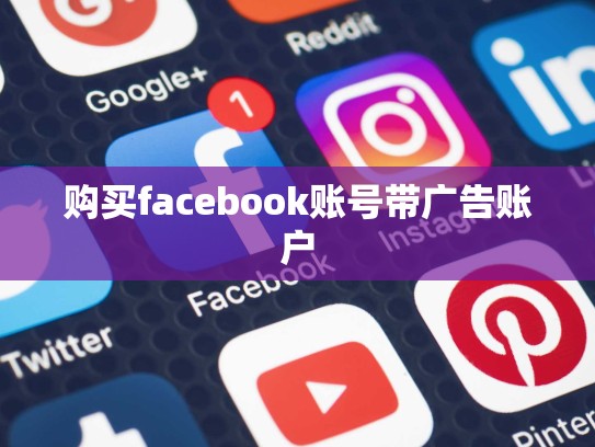 购买facebook账号带广告账户
