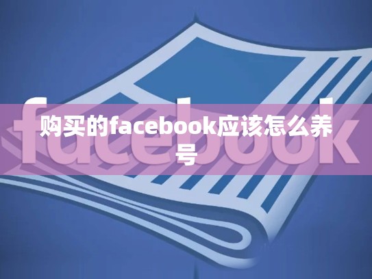 购买的facebook应该怎么养号