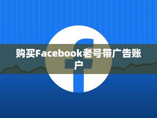 购买Facebook老号带广告账户