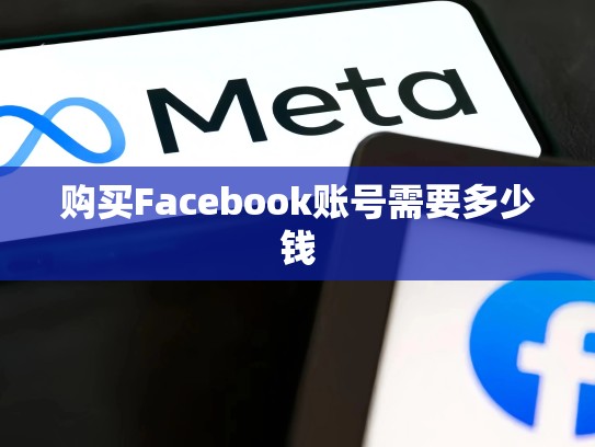 购买Facebook账号需要多少钱