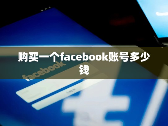 购买一个facebook账号多少钱