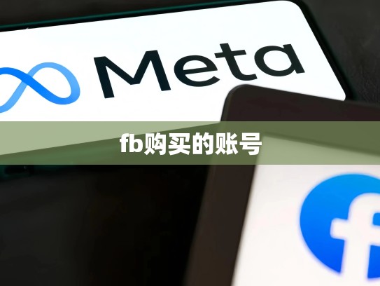 fb购买的账号